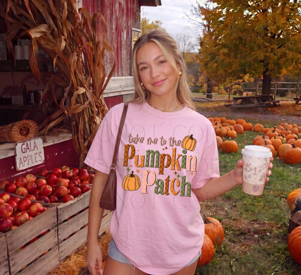 Pumpkin Patch